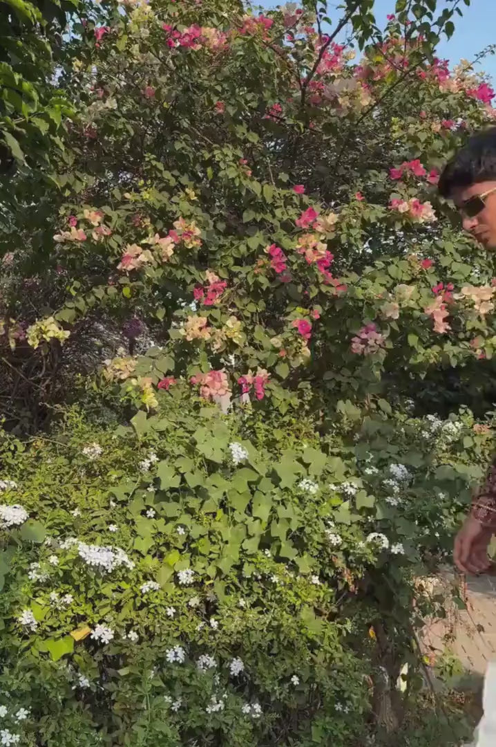 Embroidered Kurta Pyjama For Men (Luxury Korean Pants)